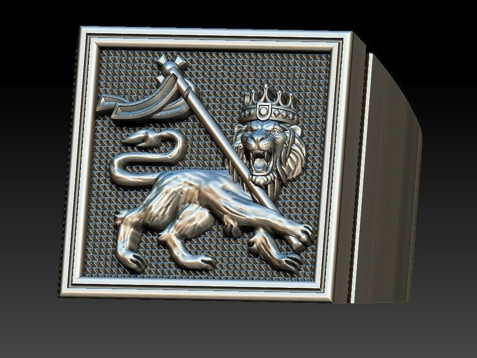 Men Lion of Judah Silver Ring 100% Silver Handmade West Wall Design Size 7-15