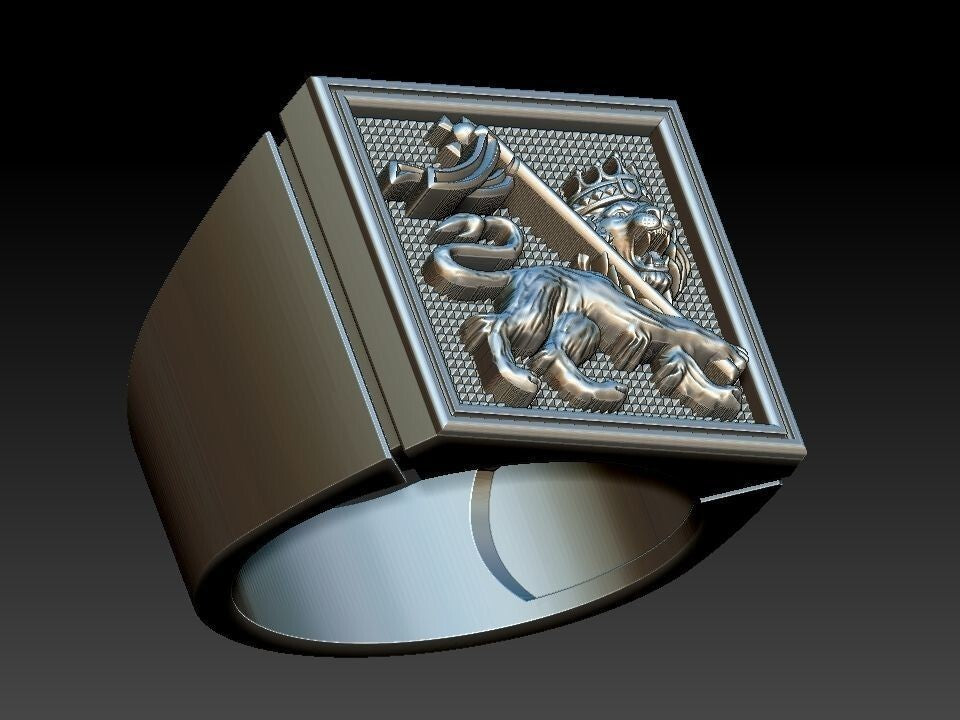 Men Lion of Judah Silver Ring 100% Silver Handmade West Wall Design Size 7-15