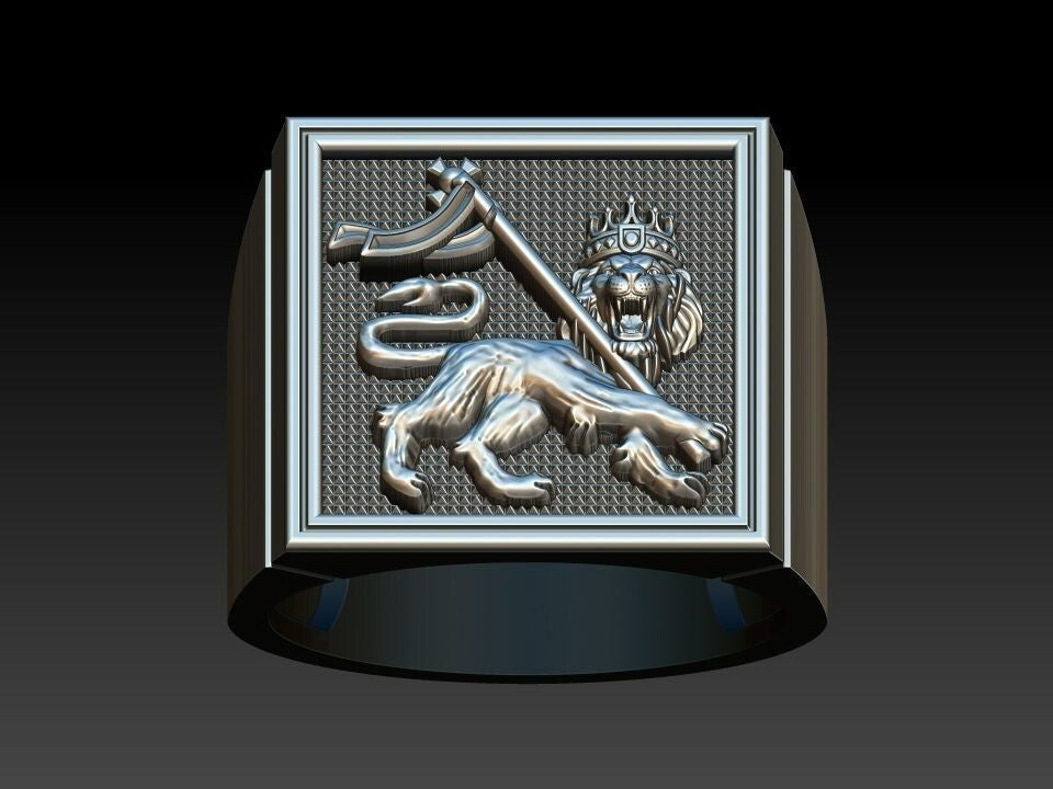 Men Lion of Judah Silver Ring 100% Silver Handmade West Wall Design Size 7-15