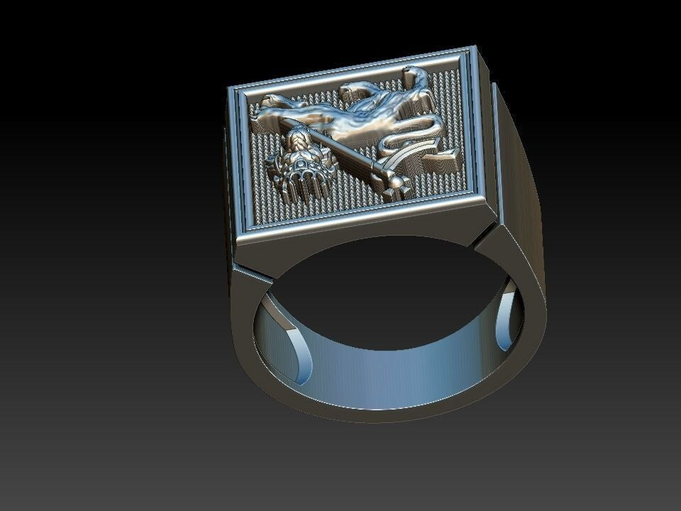 Men Lion of Judah Silver Ring 100% Silver Handmade West Wall Design Size 7-15