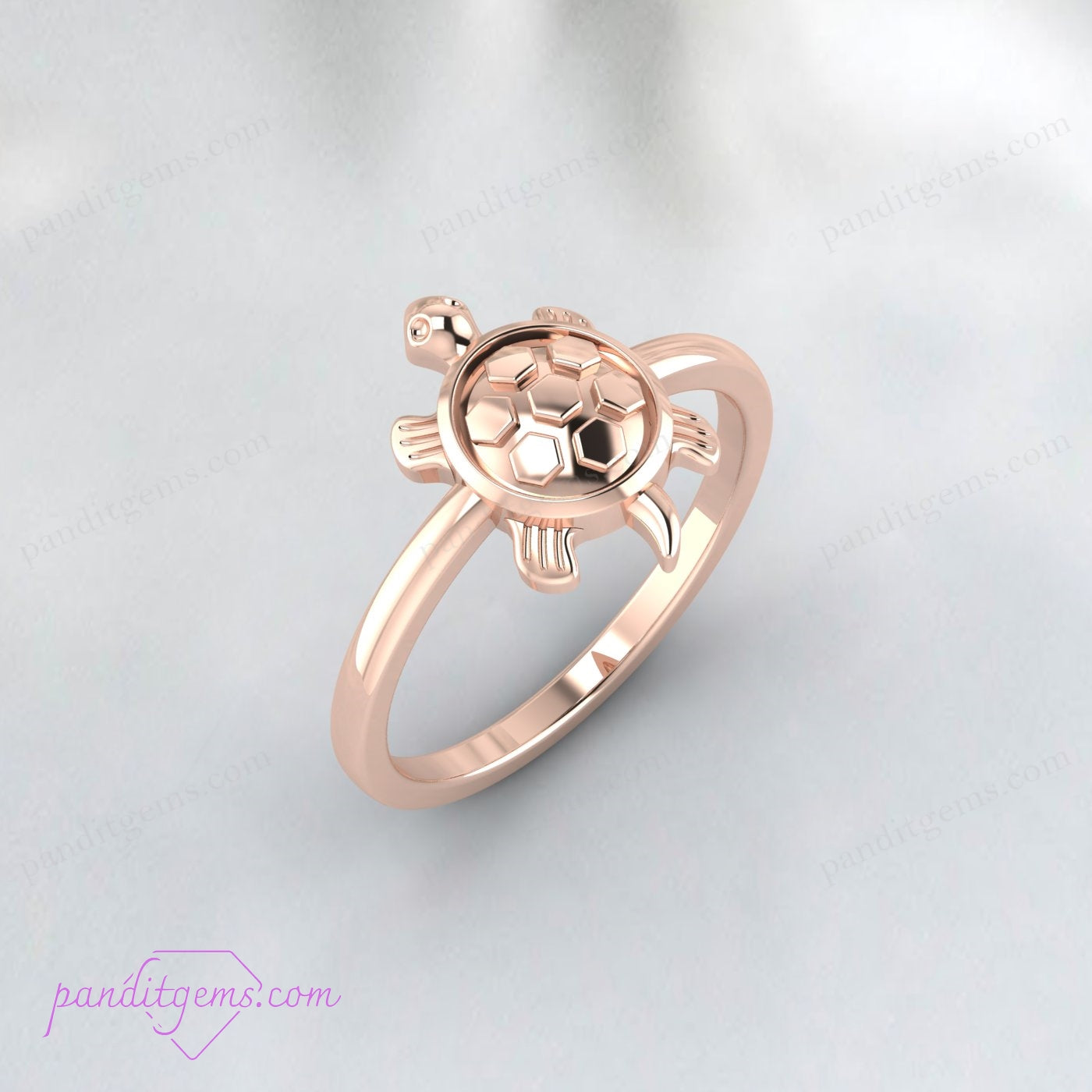 Detailed image of a turtle ring made from 925K Sterling Silver, symbolizing longevity and protection in Feng Shui traditions.