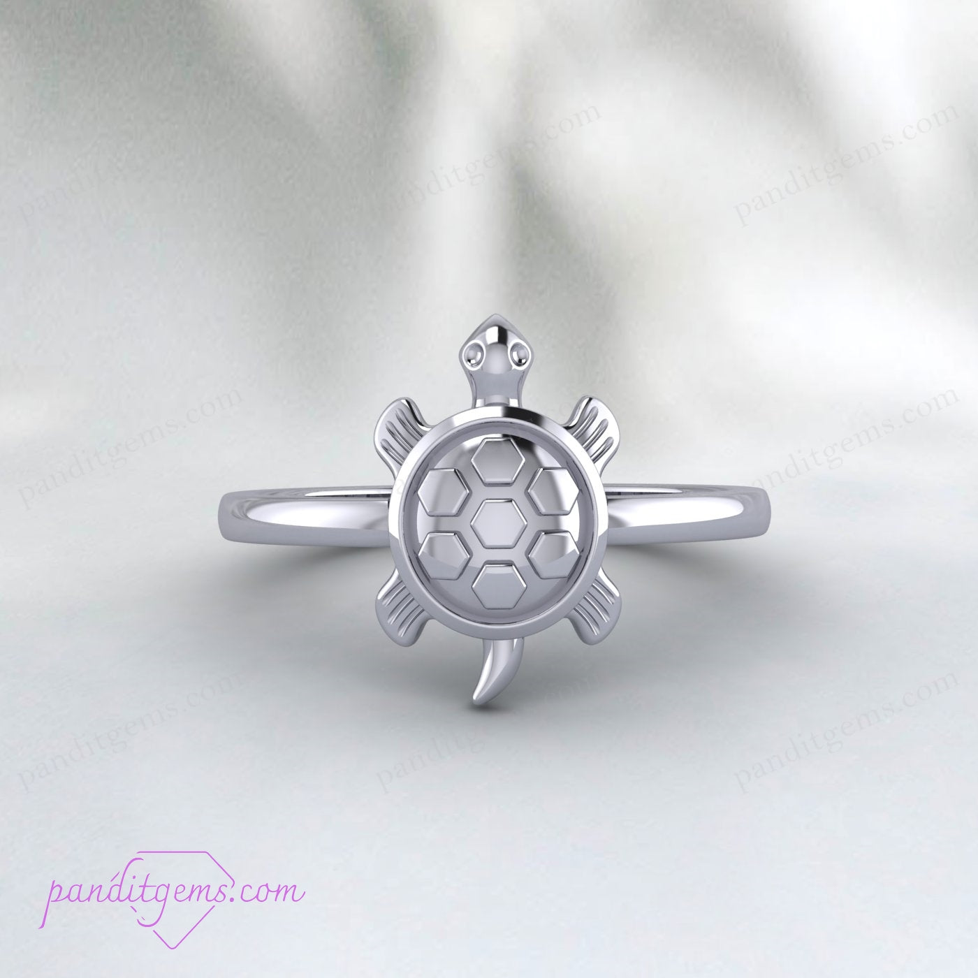 Sterling silver Fengshui turtle ring with a simple yet elegant design, embodying luck and prosperity.