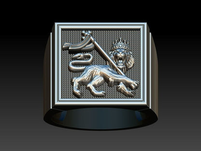 Men Lion of Judah Silver Ring 100% Silver Handmade West Wall Design Size 7-15