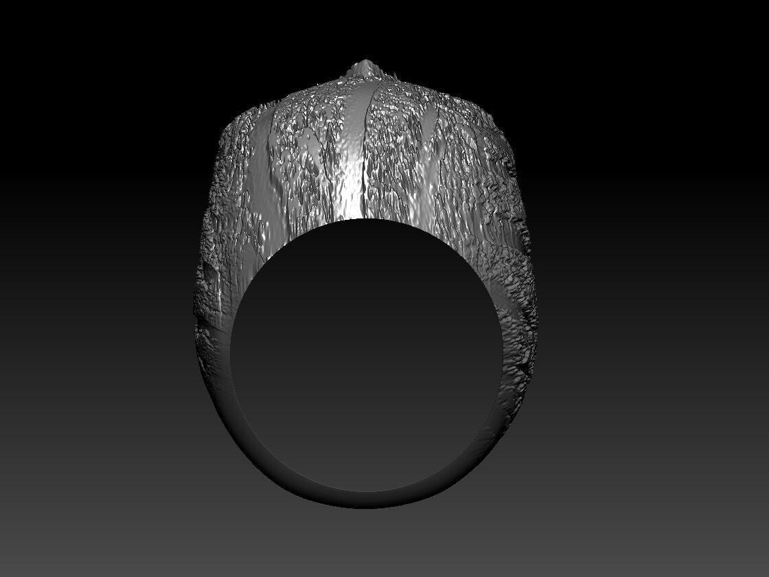 Huge Heavy Men's Gothic Skull Biker Ring Silver Rocker Band US5-15 Unique Gift