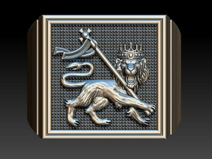 Men Lion of Judah Silver Ring 100% Silver Handmade West Wall Design Size 7-15